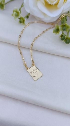 Colar ouro Plaquinha pet